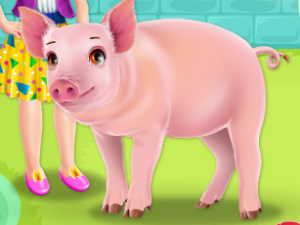 Amelias Piggy Care