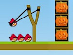Angry Birds Halloween Boxs