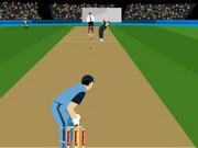 Cricket Master Blaster