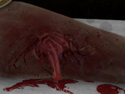 Темный срез 2