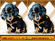 Differences in Puppy Land