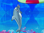 Il mio Dolphin Show 8
