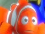 Buscando a Nemo reconocer la diferencia