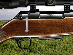 Ταχείας Αντίδρασης Xenon