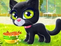 Счастливый кот