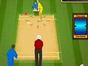 Ip Cricket 2013