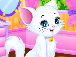 Kitty Spa Makeover