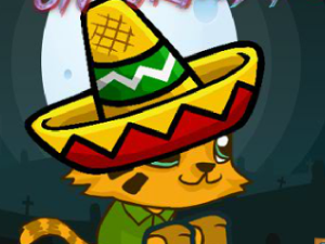Mexico Cat 2