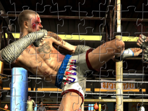 MMA Dövüş Parçası