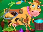 Benim Güzel İnek Bakımı