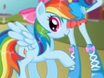 Rainbow Dash Pony