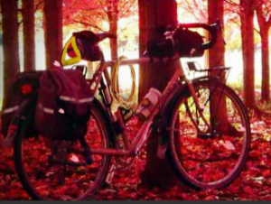 Sakura Festival Escape