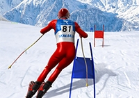 Slalom Ski Simulator