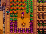 Stardew Valley