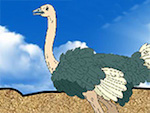 Super Ostrich Simulator