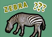 O jogo mais fácil do mundo