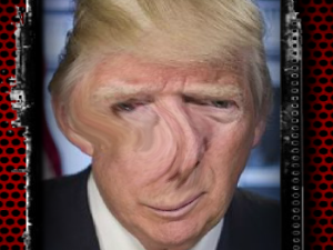 Trump Funny Face