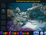 Sotto l'aereo di volo dell'acqua