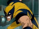 Wolverine MRD Escaoe